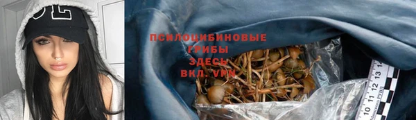 mdpv Михайловск
