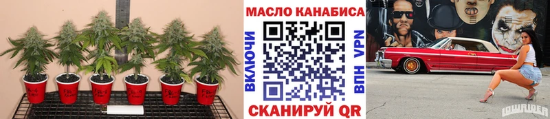 Дистиллят ТГК гашишное масло  Купить  Межгорье 